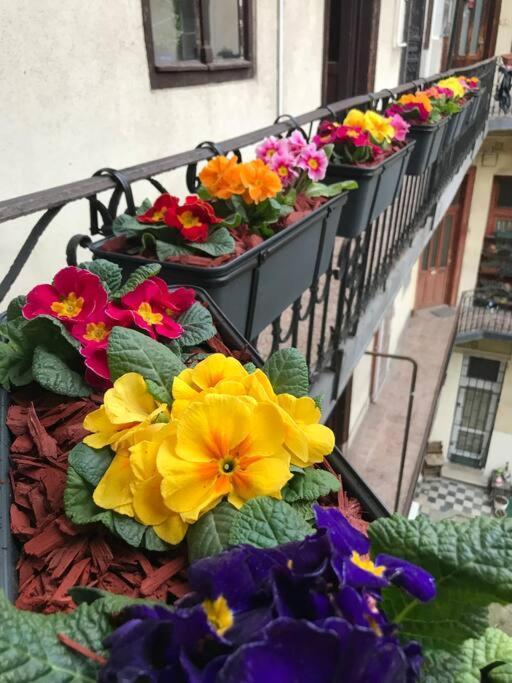 Perfect Location,Newly Decorated Modern, Large Place 60 M2, Really Quiet So You Can Have A Good Night Sleep, Ac, Netflix, Smart Tv, High-Speed Internet, World Famous New York Cafe Only 10 Minutes Walk Budapest Ngoại thất bức ảnh